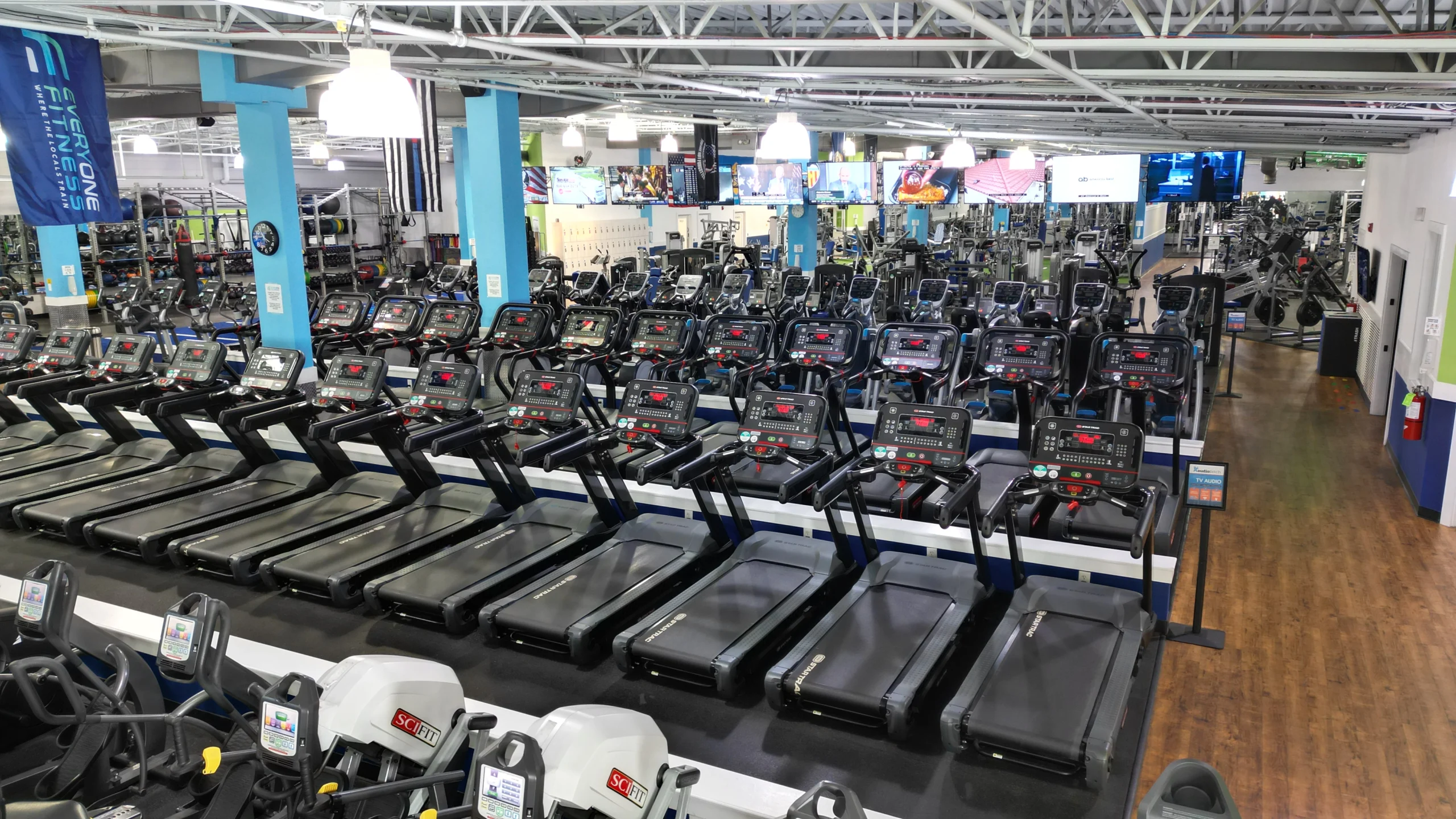 Rows of premium treadmills at Everyone Fitness in Rehoboth Beach, DE for cardio workouts.