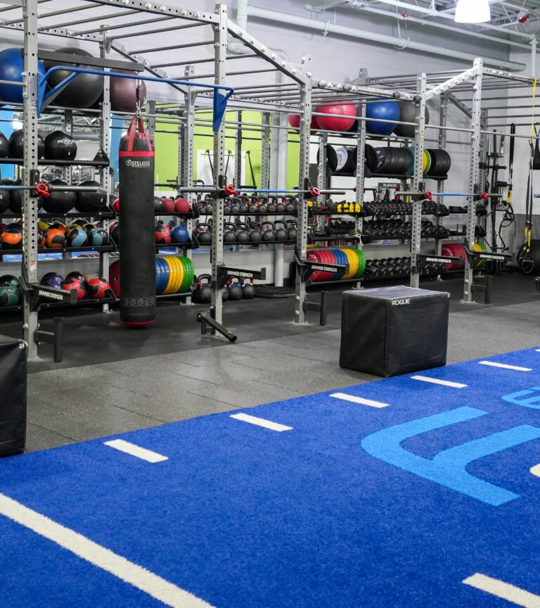 Functional training space at Everyone Fitness with Rogue equipment and training boxes.