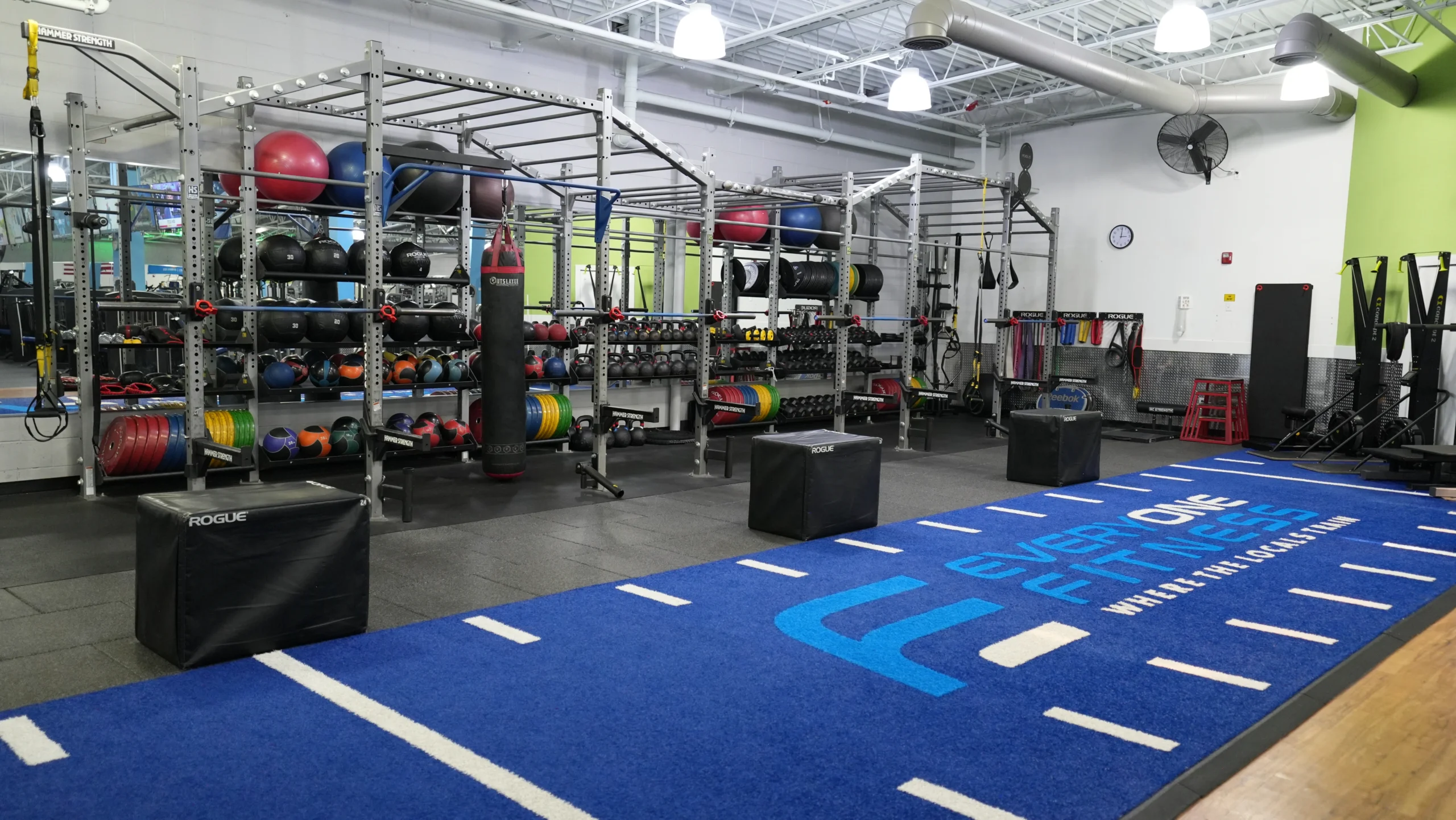 Functional training rig and blue turf lane at Everyone Fitness in Rehoboth Beach, DE.